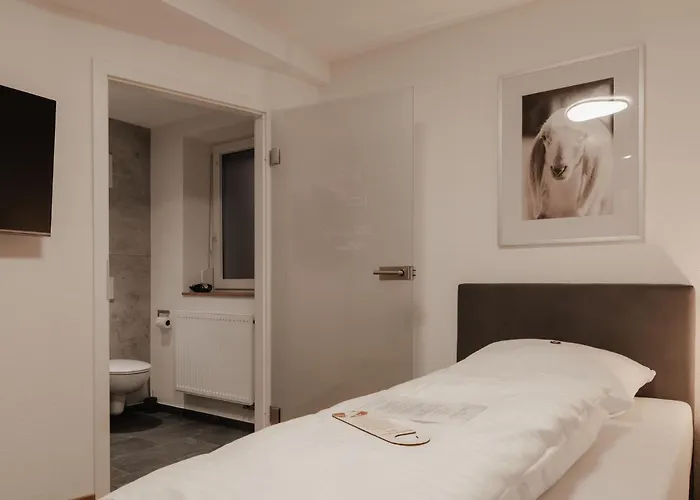 Hotel Landgasthof Lamm 3*